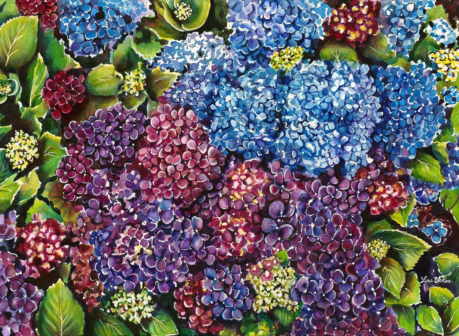 Azores Hydrangeas, a watercolor by Lisa Baker: blue and violet hydrangeas along a lane
