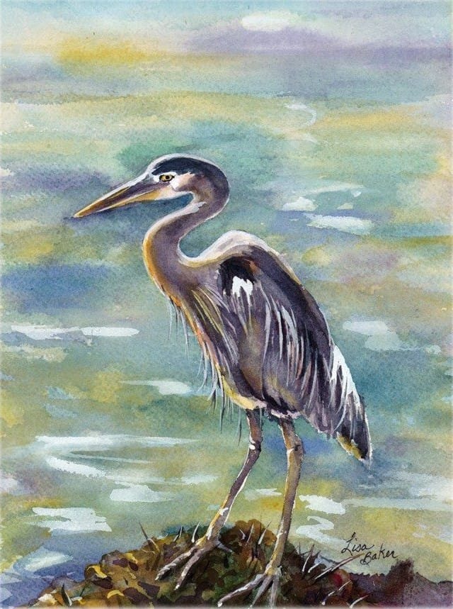 Blue Heron, a watercolor by Lisa Baker: a blue heron standing on a rock in shallow water