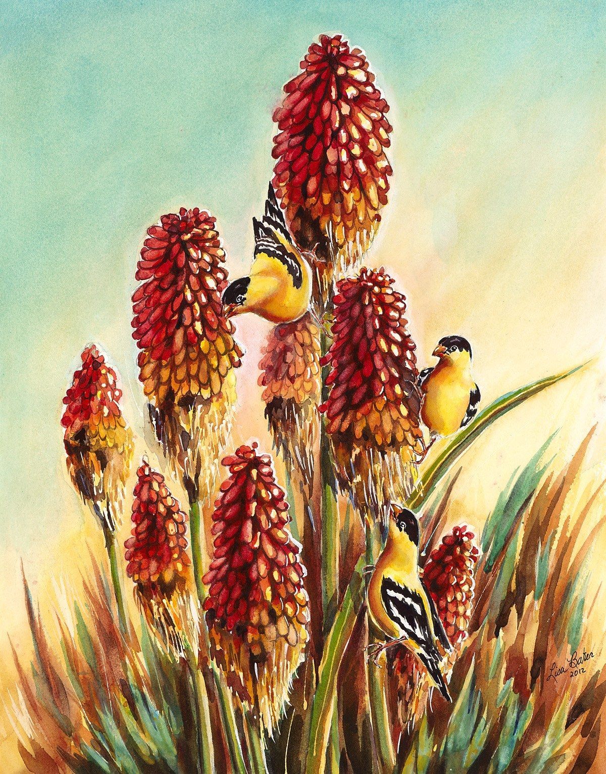 Torch Lilly Finches, a watercolor by Lisa Baker: goldfinches perched among tall red torch lily blooms